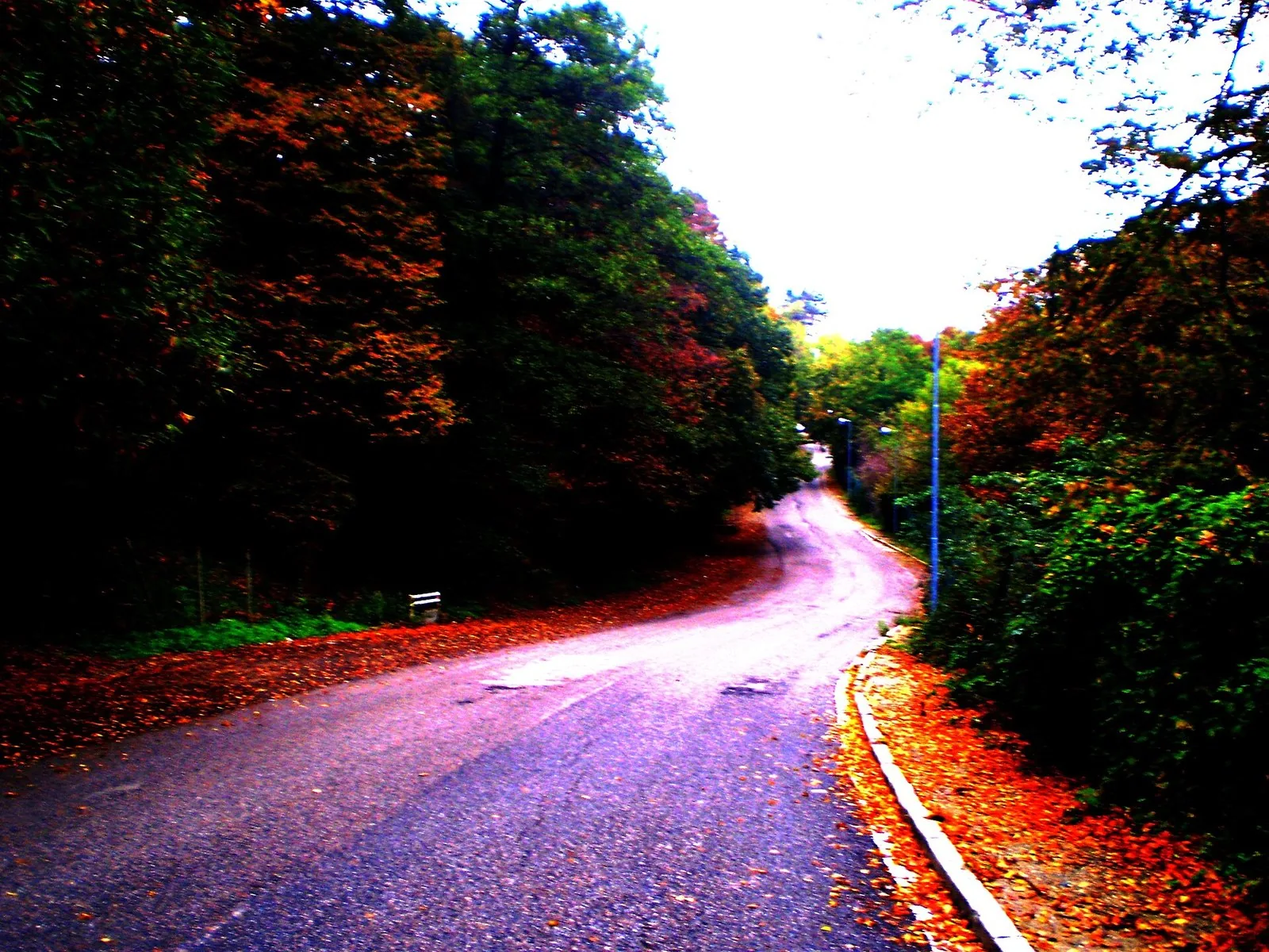 Una strada della collina torinese in autunno